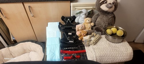 Puppy starter kit - kit, for