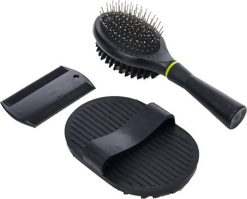 Groom puppy grooming - puppy, starter