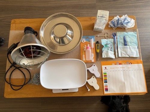 Puppy whelping starter kit - puppy,