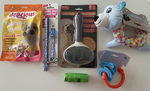 Small puppy starter - starter, light