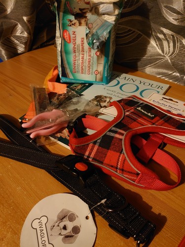 Dog puppy starter kit incl - dog/puppy,