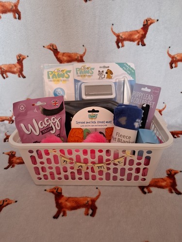 Puppy starter kit hamper - puppy,