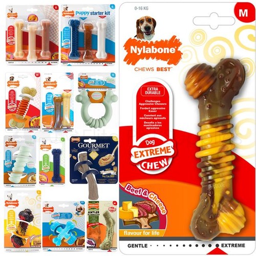 Nylabone dog puppy chew tough - nylabone,