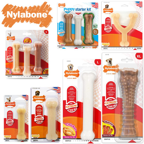 Nylabone dura chew tough - dura,