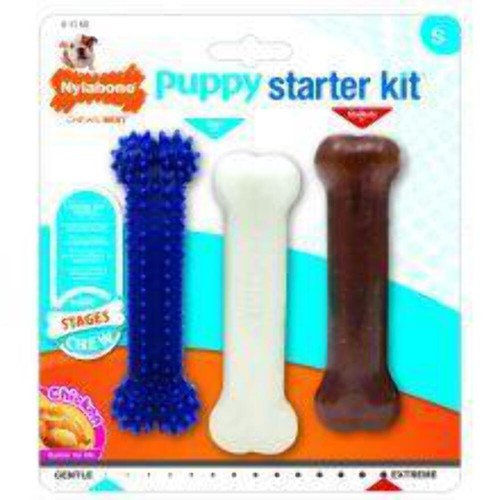 Nylabone puppy starter kit - starter,