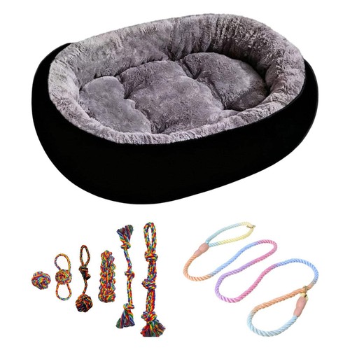Puppy starter kit - kit:, dog