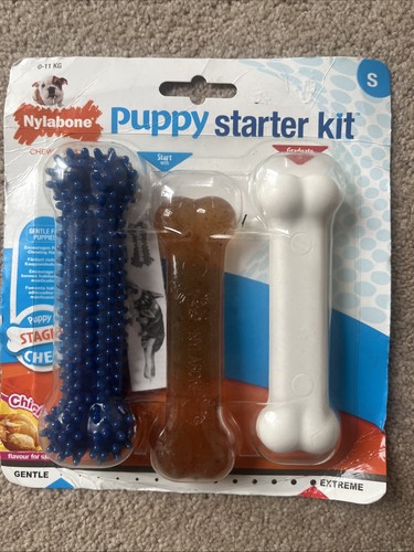 Nylabone puppy starter kit - puppy,