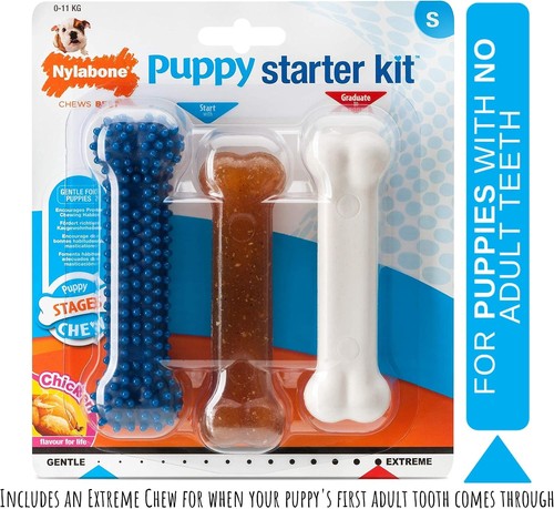 Nylabone puppy starter - starter, kit