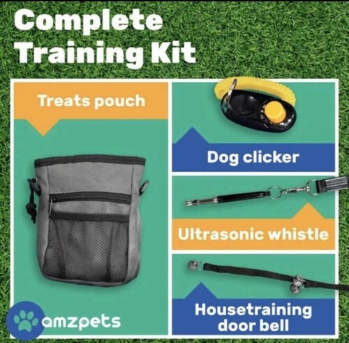 Dog training set puppy - training,