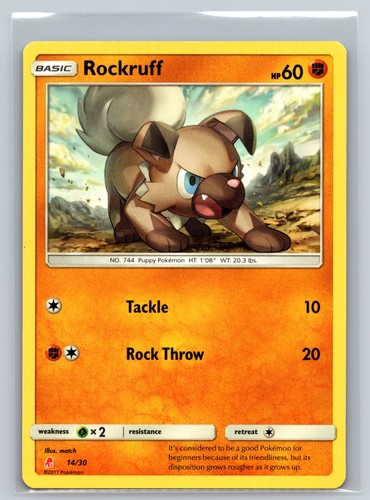 Rockruff trainer kit - 14/30,