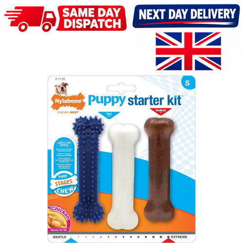 Nylabone puppy starter kit - puppy,