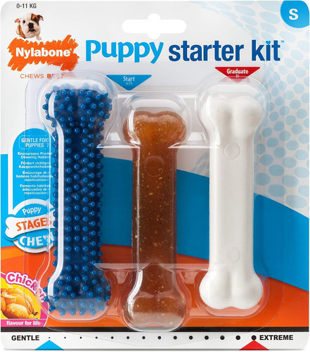 Puppy starter kit - puppy, pack